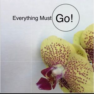 petitesuite618 Closet Cleaning!